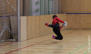 Der Tormann beim Elfmeter
